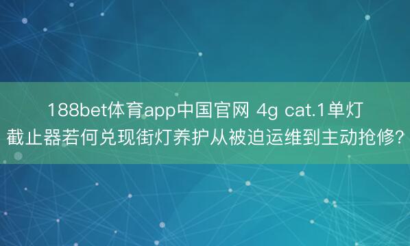 188bet体育app中国官网 4g cat.1单灯截止器若何兑现街灯养护从被迫运维到主动抢修？
