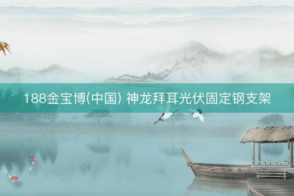 188金宝博(中国) 神龙拜耳光伏固定钢支架