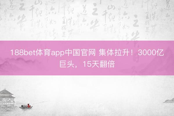 188bet体育app中国官网 集体拉升！3000亿巨头，15天翻倍