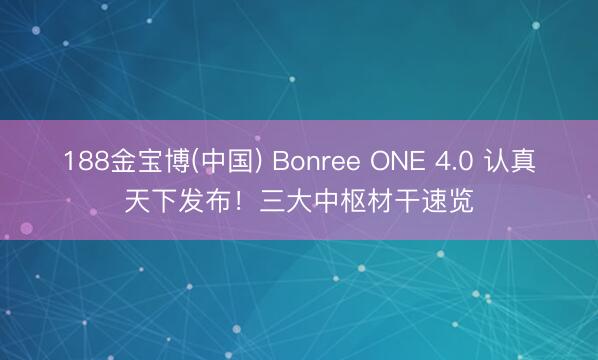 188金宝博(中国) Bonree ONE 4.0 认真天下发布！三大中枢材干速览