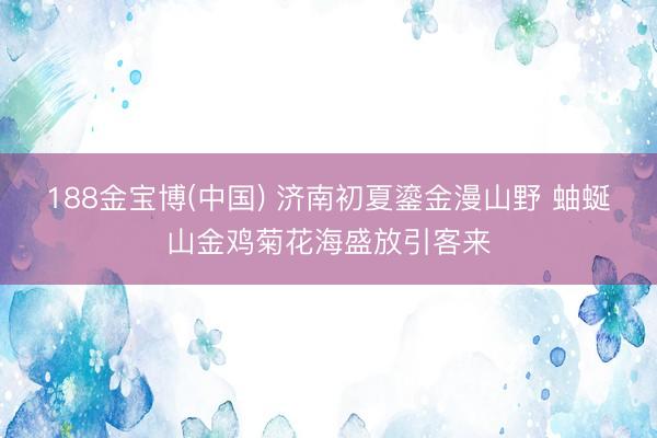 188金宝博(中国) 济南初夏鎏金漫山野 蚰蜒山金鸡菊花海盛放引客来
