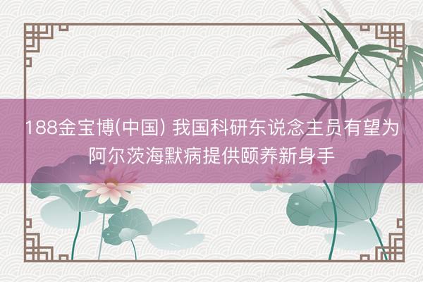 188金宝博(中国) 我国科研东说念主员有望为阿尔茨海默病提供颐养新身手