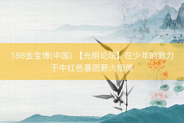 188金宝博(中国) 【光明论坛】在少年的戮力于中红色基因薪火相传