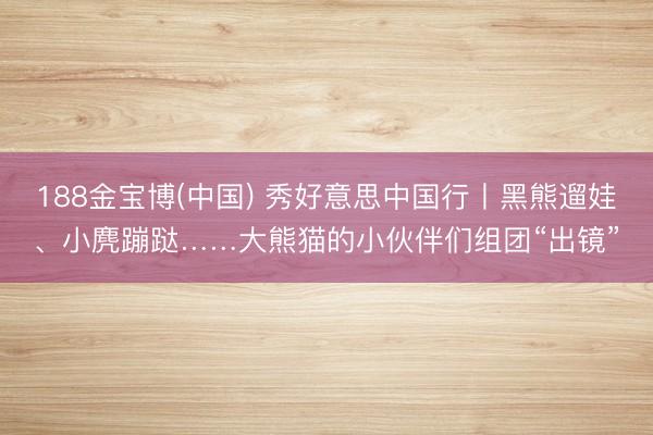188金宝博(中国) 秀好意思中国行丨黑熊遛娃、小麂蹦跶……大熊猫的小伙伴们组团“出镜”