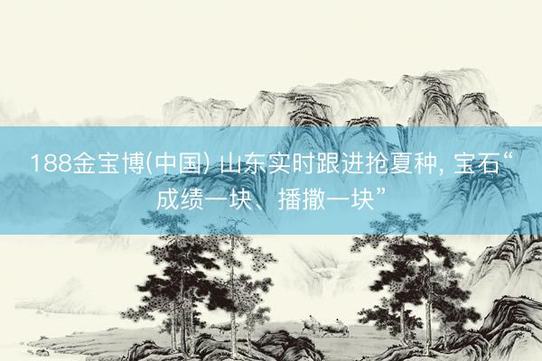 188金宝博(中国) 山东实时跟进抢夏种， 宝石“成绩一块、播撒一块”