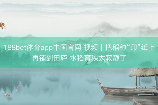 188bet体育app中国官网 视频｜把稻种“印”纸上再铺到田庐 水稻育秧太寂静了