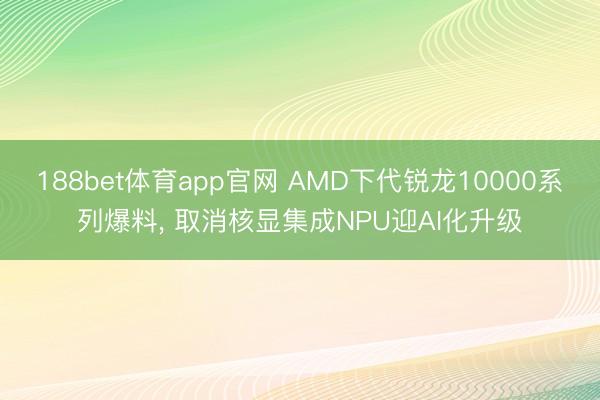 188bet体育app官网 AMD下代锐龙10000系列爆料， 取消核显集成NPU迎AI化升级